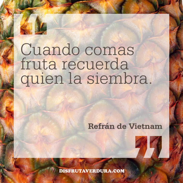frases-alimentacion-disfrutaverdura-5