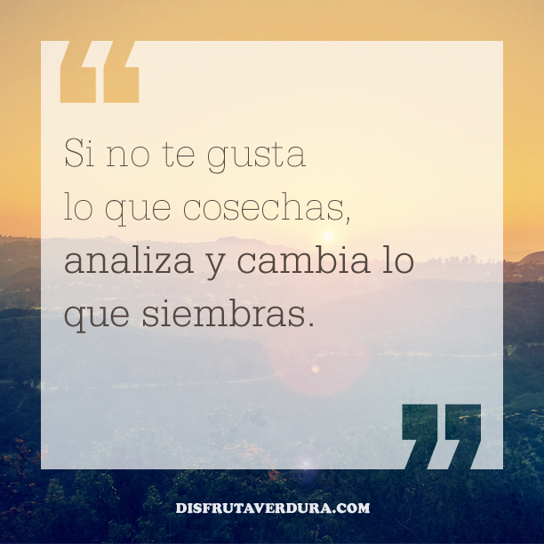 disfrutaverdura-14-frases-inspiradoras