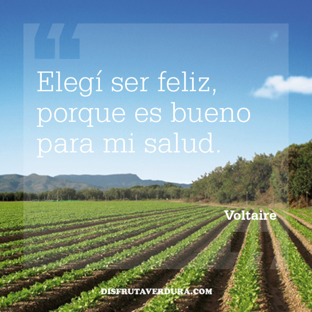 voltaire frases disfruta verdura