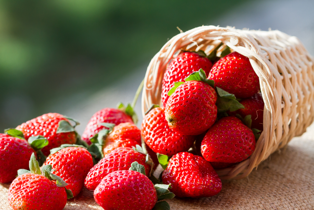 Fruta de invierno freson