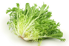 lechuga-escarola