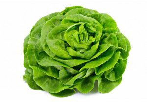 lechuga-trocadero2