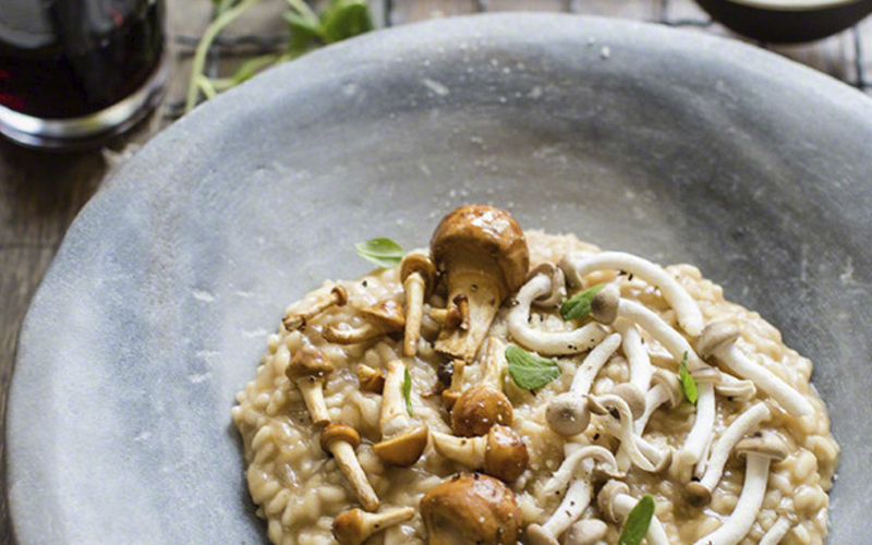 Lee más sobre el artículo Risotto con setas