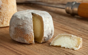Lee más sobre el artículo Alto Maestrazgo, un lugar ideal para hacer queso de cabra