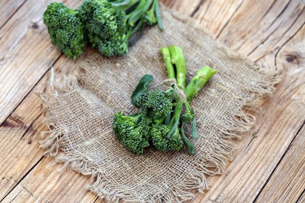 Lee más sobre el artículo Estamos cosechando Sprouting brócoli