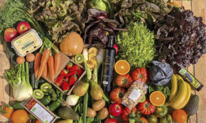 Lee más sobre el artículo Alimentos que fortalecen las defensas