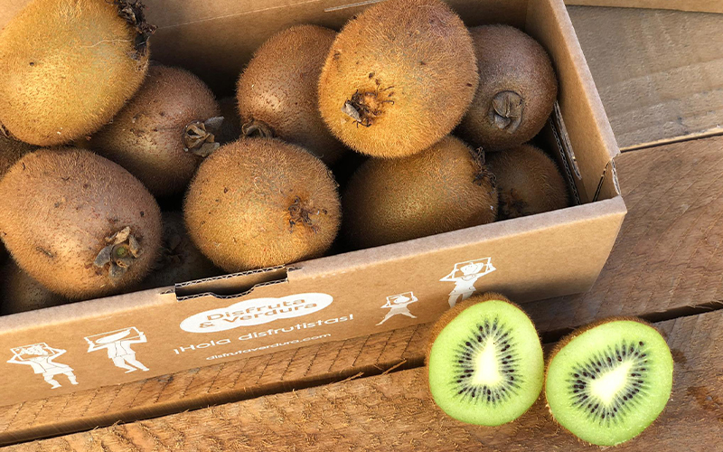 Lee más sobre el artículo El kiwi: el pájaro fruta