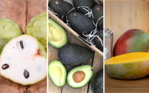 Lee más sobre el artículo Frutas tropicales